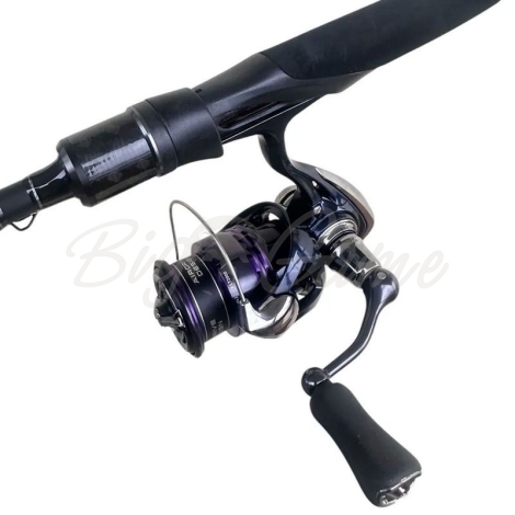 Катушка безынерционная DAIWA 24 Prorex X LT 2000 фото 2