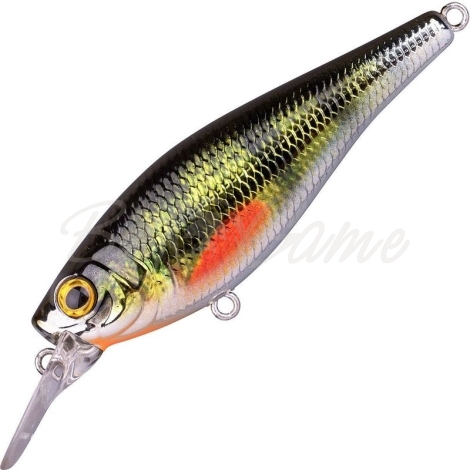 Воблер SPRO Ikiru Shad 70 SL SP цв. Green Perch фото 1