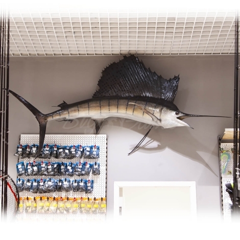 Сувенир HUNTSHOP Рыба Парус целая 250 см фото 2