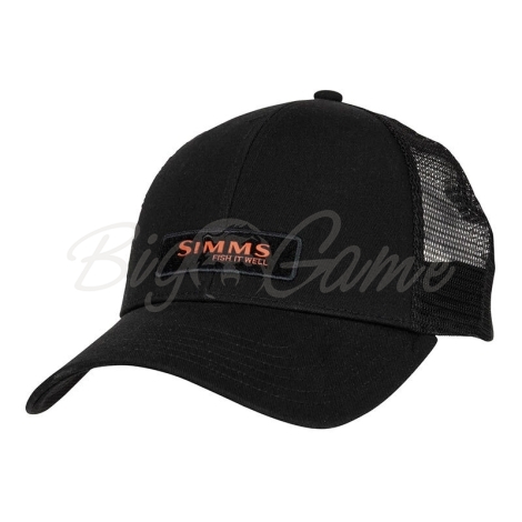 Кепка SIMMS Fish It Well Forever Small Fit Trucker цвет Black фото 1