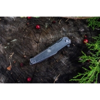 Нож складной RUIKE Knife P108-SB цв. Черный превью 4