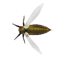 Воблер JACKSON Namazemi 42F код цв. TTB превью 2