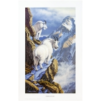 Картина Todds репродукции Sheer incline (белые козы)