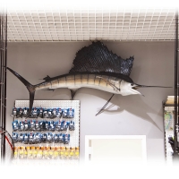 Сувенир HUNTSHOP Рыба Парус целая 250 см превью 2